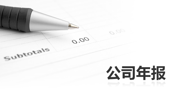 公司年报